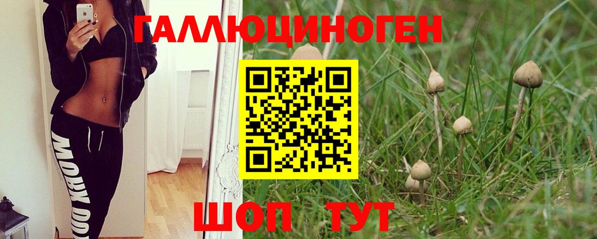 Галлюциногенные грибы Cubensis Родники